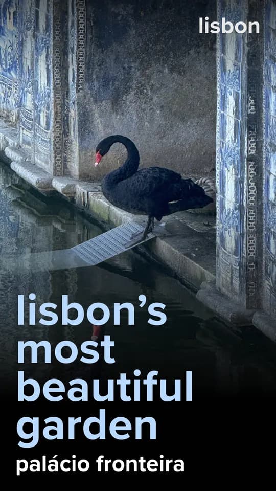 Lisbon's most beautiful garden: Palácio Fronteira